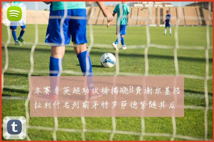 本赛季英超助攻榜揭晓B费谢尔基格拉利什名列前茅特罗萨德紧随其后