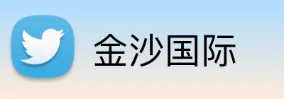 金沙国际 Logo